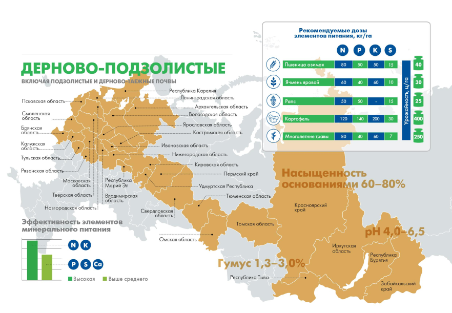 Дерново-подзолистые