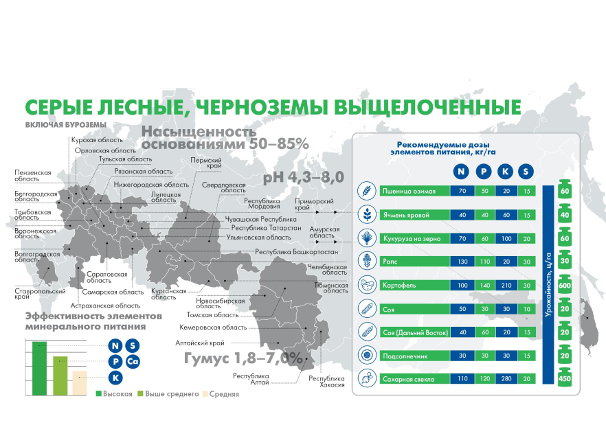 Серые лесные, черноземы выщелоченные