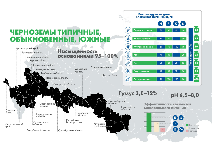 Черноземы типичные, обыкновенные, южные