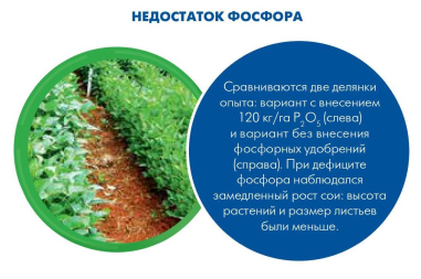 Недостаток фосфора
