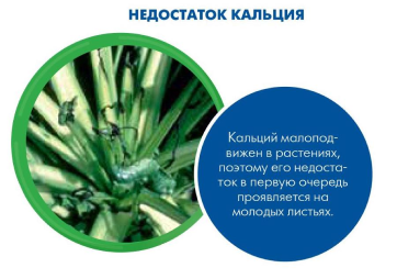 Недостаток кальция