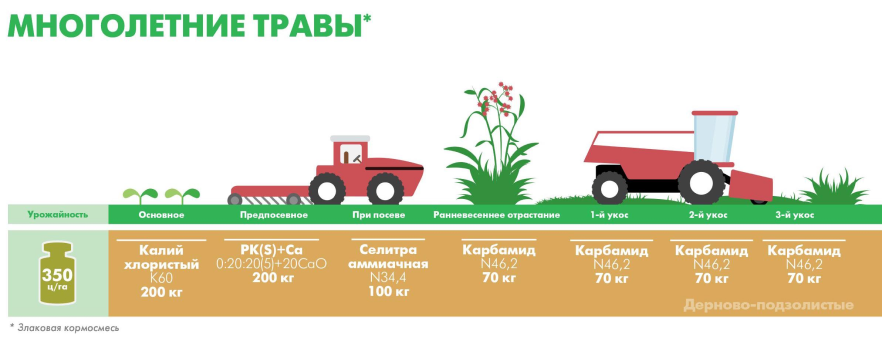 Многолетние травы